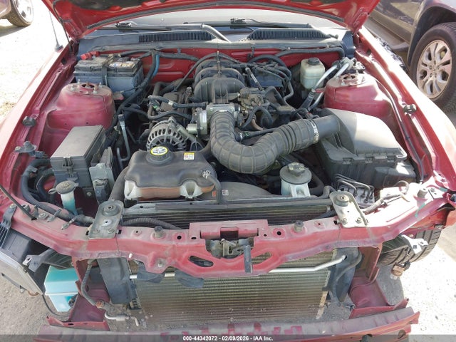 2008 FORD MUSTANG 1ZVHT80NX85132585 Photo 9