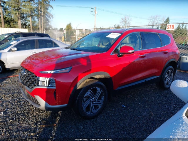 Hyundai Santa Fe Sel 2023 5NMS2DAJ0PH506567 Image 2