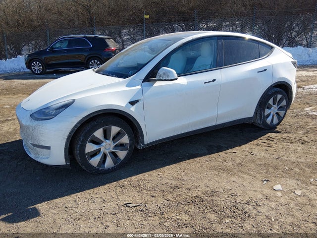2021 TESLA MODEL Y 5YJYGDEEXMF064435 Photo 1