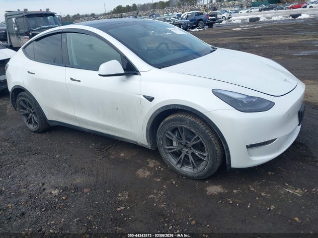 2024 TESLA MODEL Y 7SAYGAEE1RF201190 Photo 0