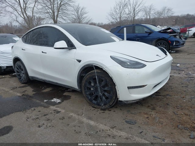 2024 TESLA MODEL Y 7SAYGDEE1RA260402 Photo 0