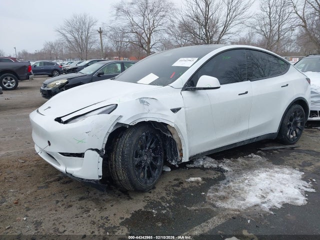 2024 TESLA MODEL Y 7SAYGDEE1RA260402 Photo 1