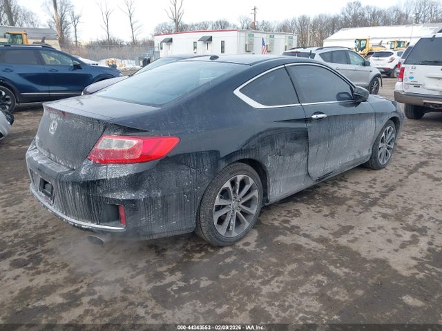 44343553 :رقم المزاد ، 1HGCT1B80DA007755 vin ، 2013 Honda Accord Ex-l مزاد بيع