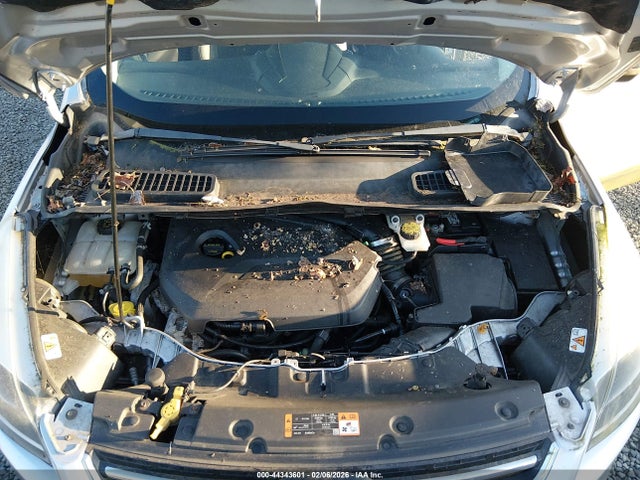 1FMCU9JX6EUC50968 Ford Escape Titanium