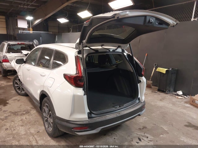 2020 HONDA CR-V 2HKRW2H88LH605564 Photo 2