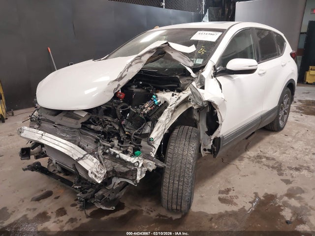 2020 HONDA CR-V 2HKRW2H88LH605564 Photo 5