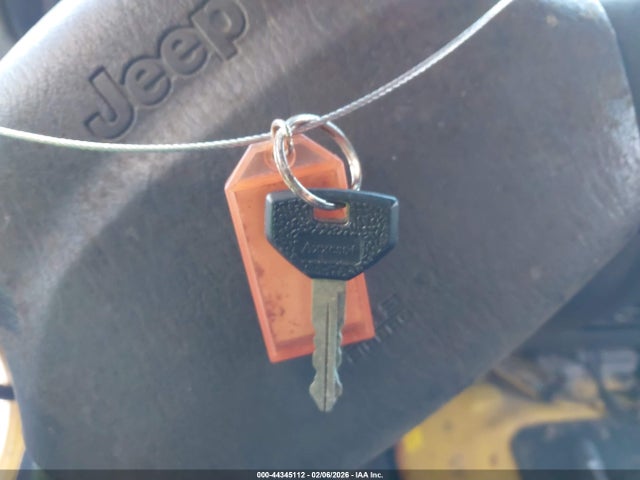 2002 JEEP WRANGLER 1J4FA39S32P725058 Photo 10