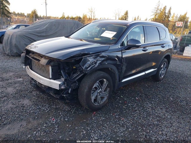 2023 HYUNDAI SANTA FE 5NMS3DAJ3PH601802 Photo 1