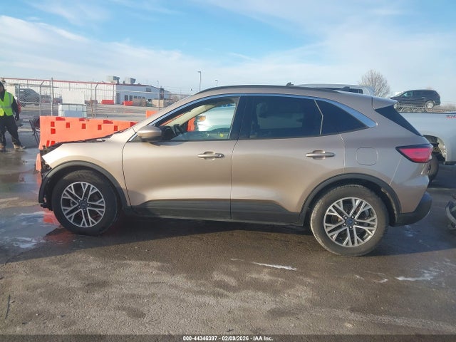 2020 Ford Escape Sel მანქანა იყიდება აუქციონზე, vin: 1FMCU0H63LUB45732, აუქციონის ნომერი: 44346397