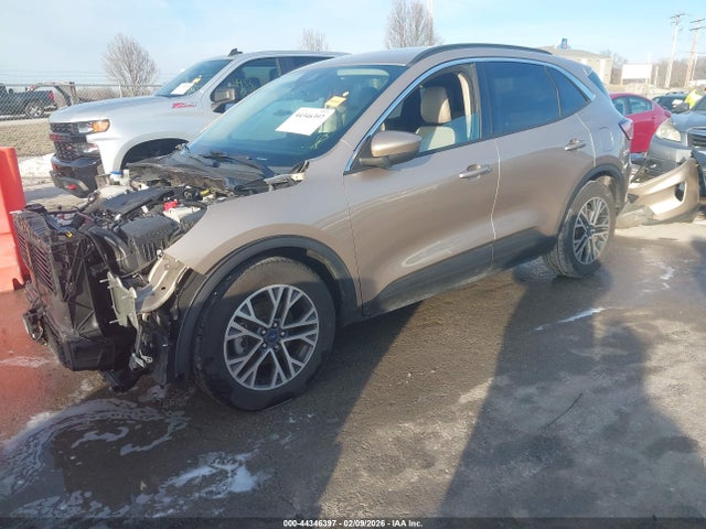 2020 Ford Escape Sel მანქანა იყიდება აუქციონზე, vin: 1FMCU0H63LUB45732, აუქციონის ნომერი: 44346397