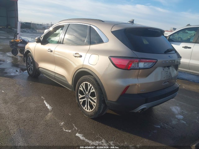 2020 Ford Escape Sel მანქანა იყიდება აუქციონზე, vin: 1FMCU0H63LUB45732, აუქციონის ნომერი: 44346397