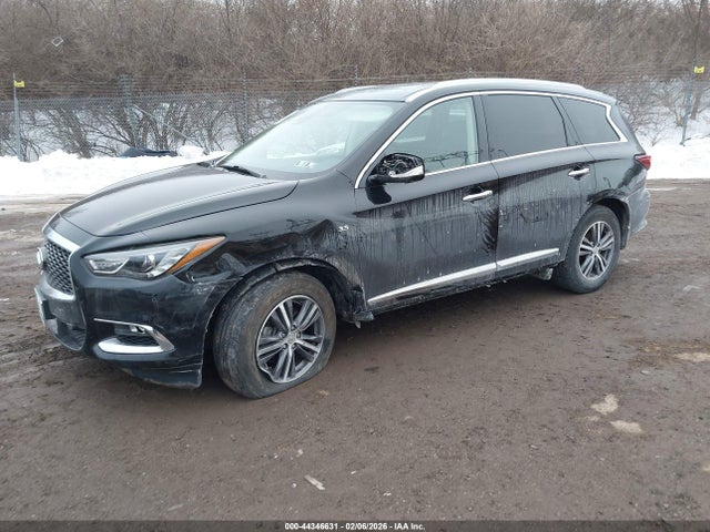 5N1DL0MM7KC519212 Infiniti QX60 LUXE