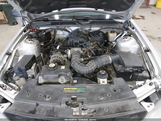 2008 FORD MUSTANG 1ZVHT80N085129999 Photo 9