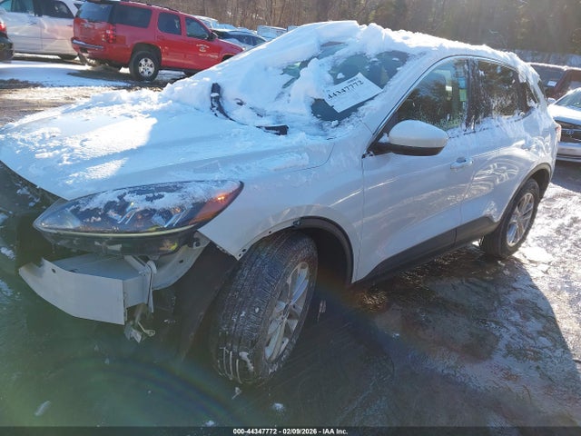 2020 FORD ESCAPE 1FMCU0G62LUA68059 Photo 1