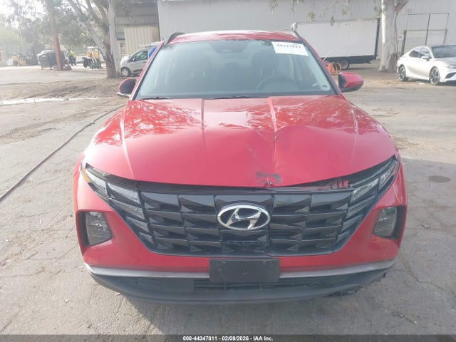 Hyundai TUCSON SEL 2023 5NMJBCAE2PH163298 Image 13