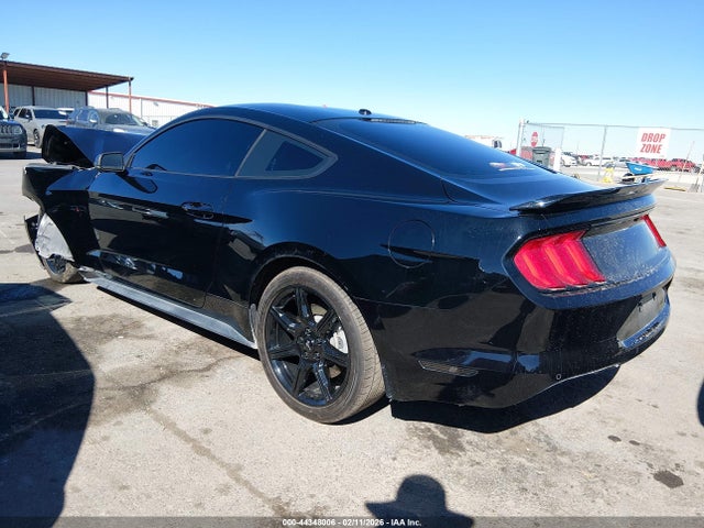 Ford Mustang Gt Premium 2019 1FA6P8CF3K5176573 Image 3