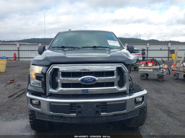 Ford F-150 Xlt 2016 1FTEW1EF0GFC60011 Image 13
