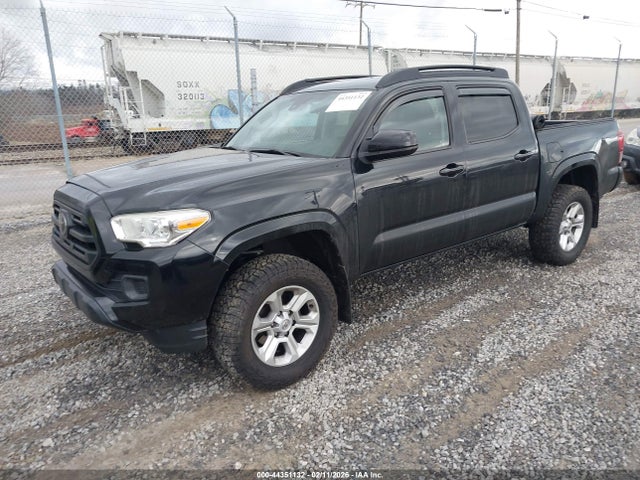 3TMCZ5AN6KM265743 Toyota Tacoma Sr V6