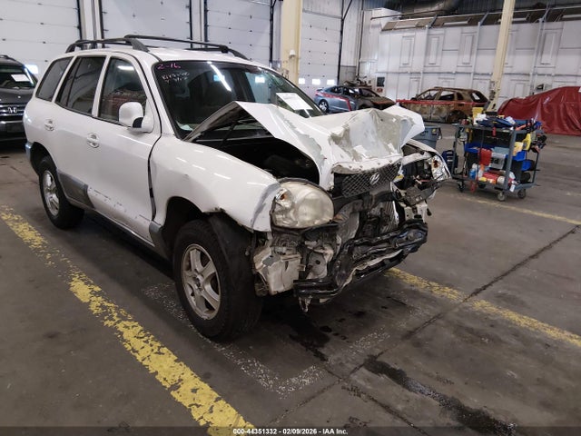 2004 HYUNDAI SANTA FE KM8SC13D84U607844