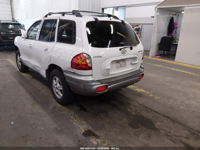 2004 HYUNDAI SANTA FE KM8SC13D84U607844 Photo 2
