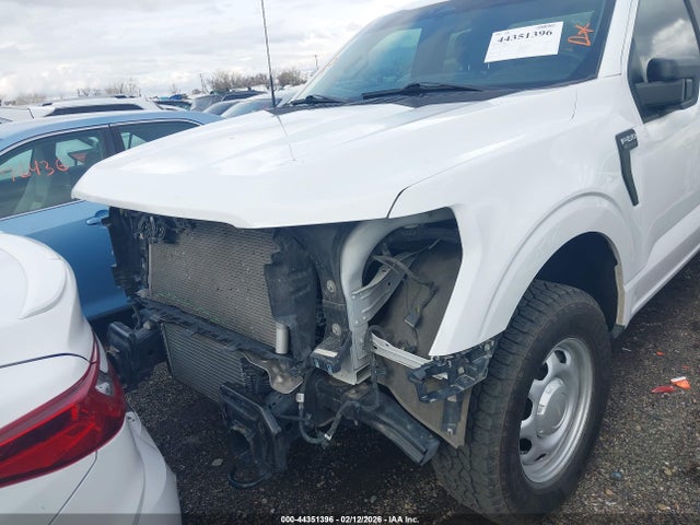 1FTEX1LPXRKD12506 Ford F-150 Xl