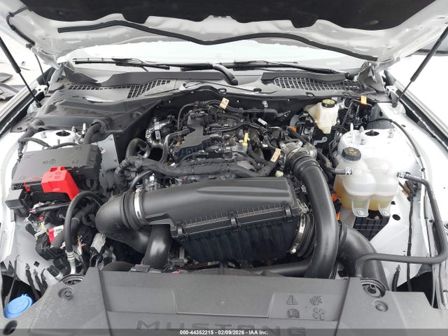 Ford Mustang Ecoboost Fastback 2025 1FA6P8TH3S5113328 Image 10