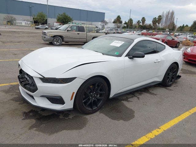 Ford Mustang Ecoboost Fastback 2025 1FA6P8TH3S5113328 Image 2