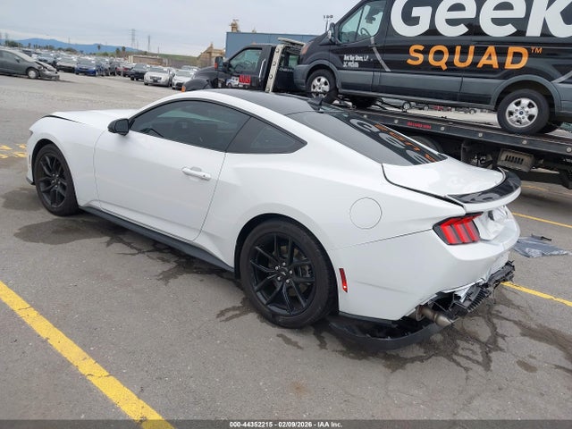 Ford Mustang Ecoboost Fastback 2025 1FA6P8TH3S5113328 Image 3