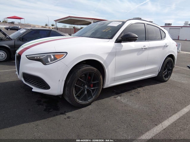 2020 ALFA ROMEO STELVIO ZASPAJAN7L7C92907 Photo 1