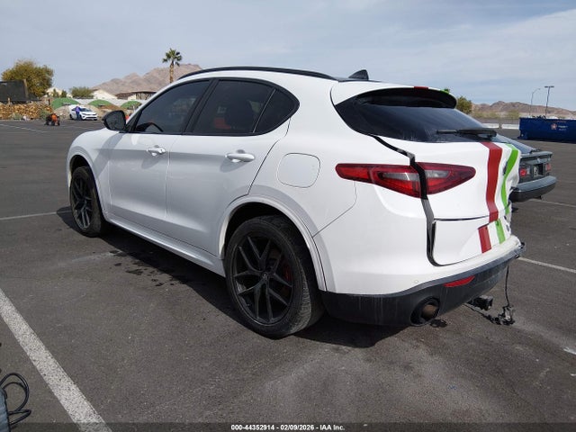2020 ALFA ROMEO STELVIO ZASPAJAN7L7C92907 Photo 2