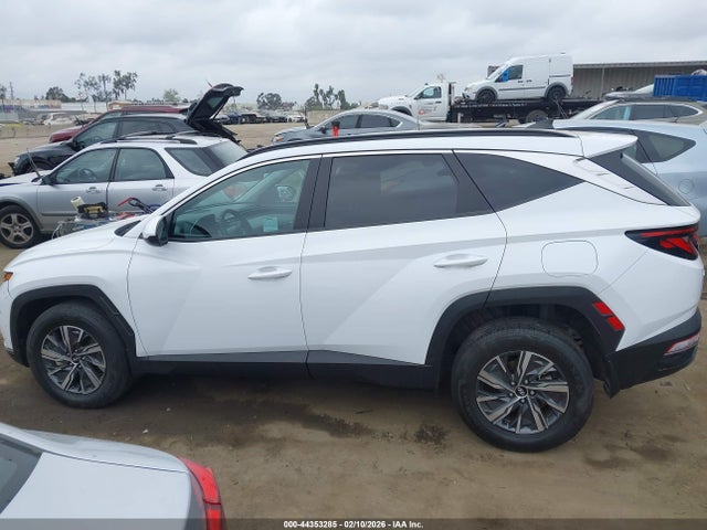 Hyundai Tucson Hybrid Blue 2024 KM8JBCD12RU148347 Image 14
