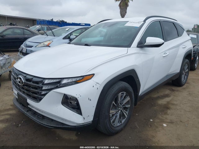 Hyundai Tucson Hybrid Blue 2024 KM8JBCD12RU148347 Image 2