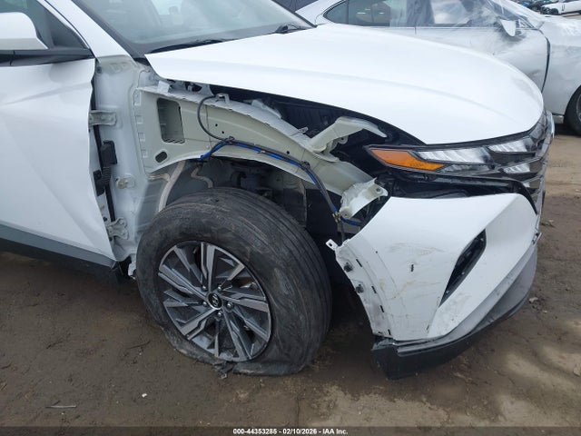 Hyundai Tucson Hybrid Blue 2024 KM8JBCD12RU148347 Image 6
