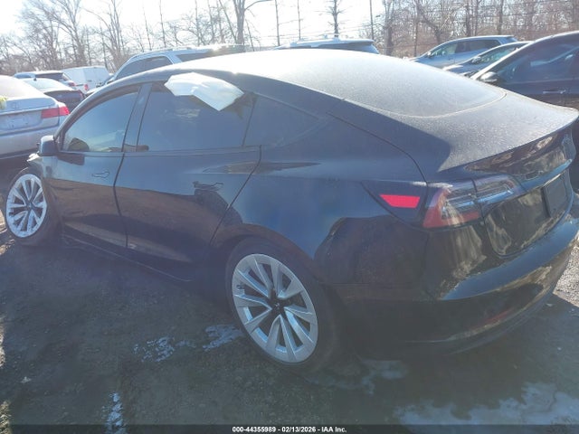2023 TESLA MODEL 3 5YJ3E1EA5PF465939 Photo 2