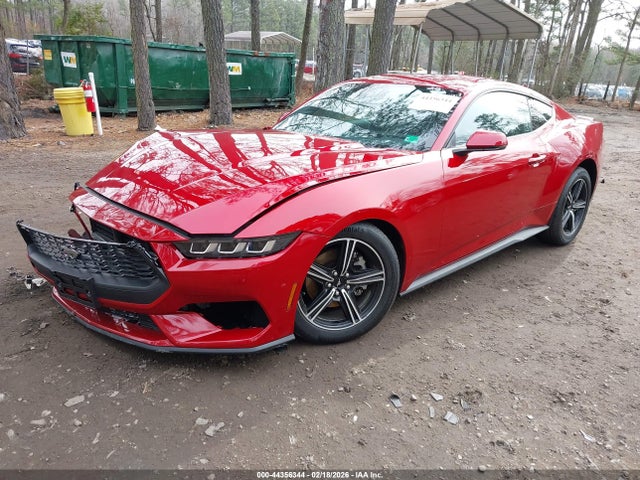 2024 FORD MUSTANG 1FA6P8TH9R5145842 Photo 1
