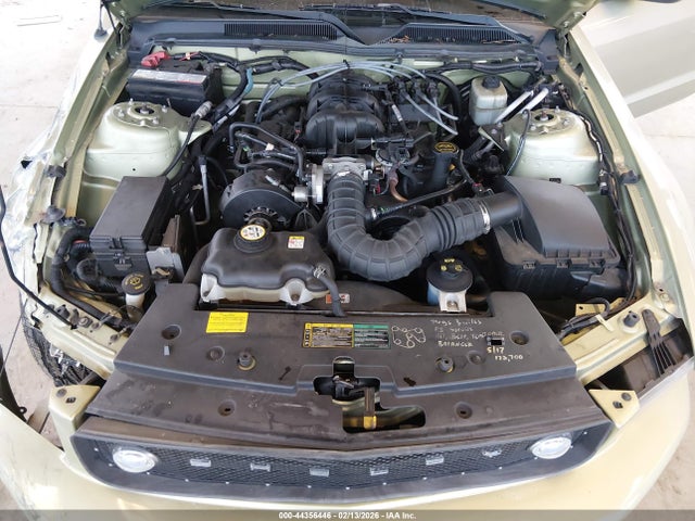 2005 FORD MUSTANG 1ZVFT80N555110772 Photo 9