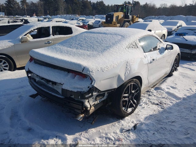 Ford Mustang Ecoboost Premium Fastback 2020 1FA6P8TH1L5132090 Image 4