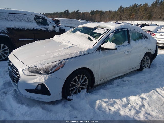 5NPE24AFXJH684389 Hyundai SONATA SE