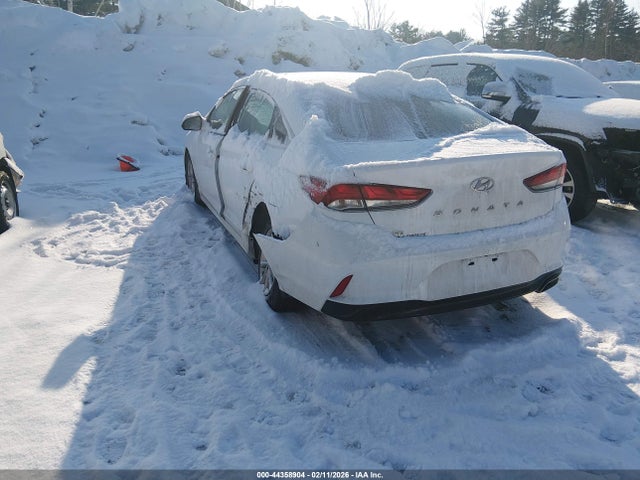 5NPE24AFXJH684389 Hyundai SONATA SE