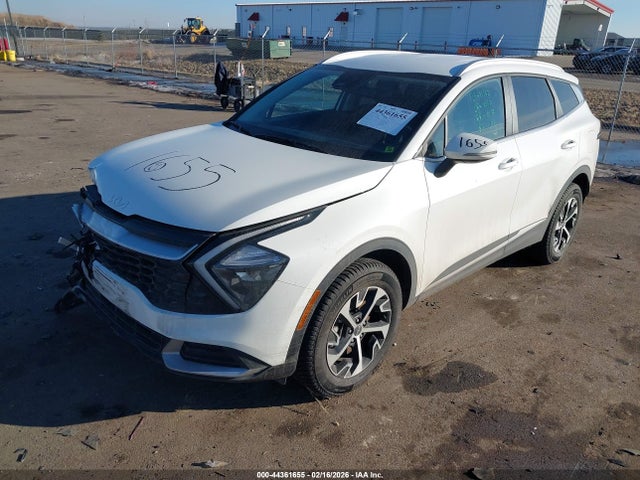 KNDPVCAG0P7033983 KIA Sportage Hybrid Ex