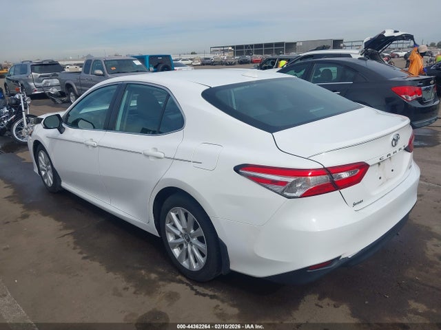 4T1B11HK0KU191220 Toyota CAMRY LE