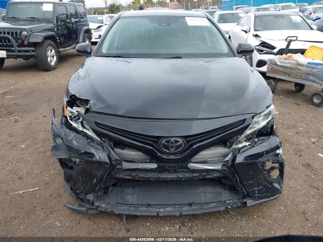 4T1G11AK0LU981117 Toyota CAMRY SE