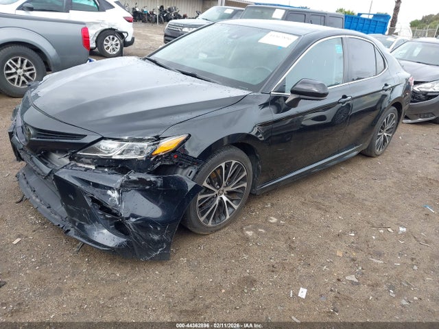 4T1G11AK0LU981117 Toyota CAMRY SE