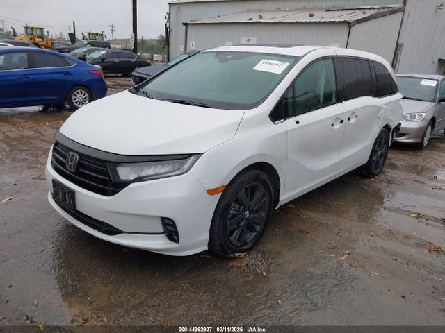 5FNRL6H72PB000161 Honda Odyssey Sport