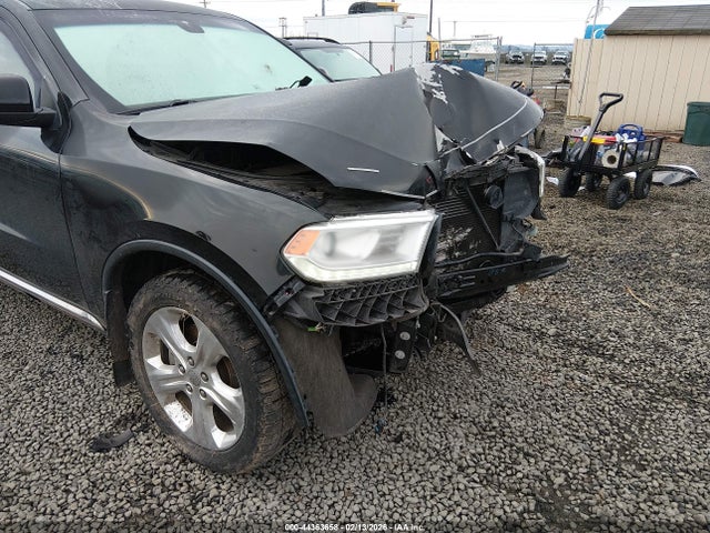 Dodge DURANGO LIMITED 2014 1C4SDJDT7EC318680 Image 19