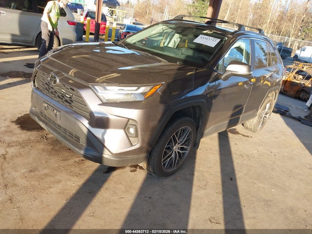 Toyota Rav4 Xle Premium 2024 2T3A1RFV6RC400244 Image 2