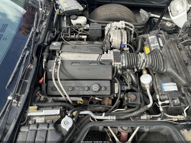 1995 CHEVROLET CORVETTE 1G1YY22P9S5107905 Photo 9