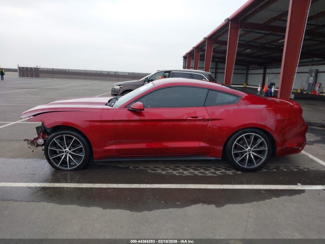 Ford Mustang Ecoboost 2016 1FA6P8TH3G5336895 Image 14