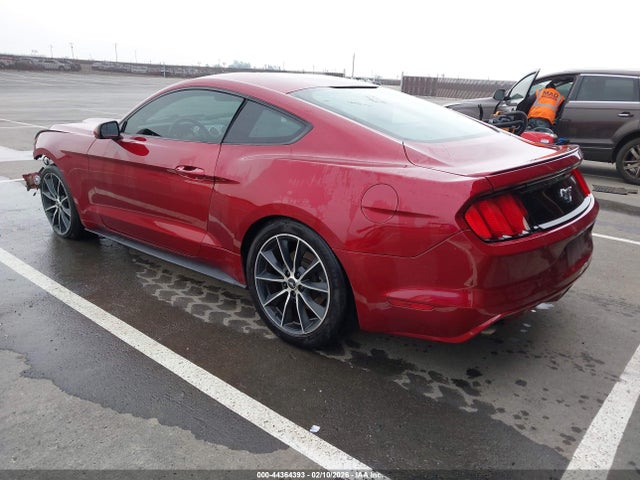 Ford Mustang Ecoboost 2016 1FA6P8TH3G5336895 Image 3