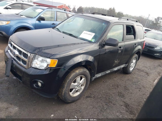 Продаж на аукціоні авто 2010 Ford Escape Xlt, vin: 1FMCU0DGXAKD42971, номер лоту: 44364892